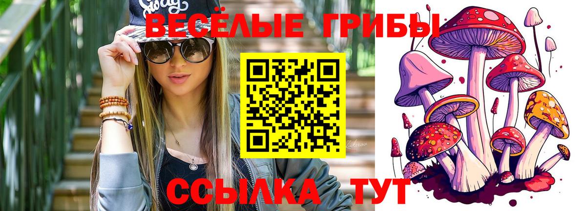 Псилоцибиновые грибы прущие грибы Новозыбков