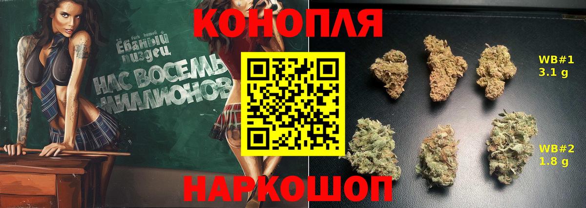 Канабис семена Новозыбков